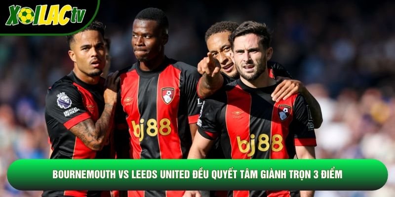Bournemouth vs Leeds United đều quyết tâm giành trọn 3 điểm Bournemouth vs Leeds United đều quyết tâm giành trọn 3 điểm