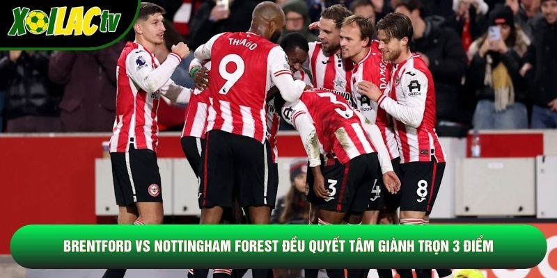 Brentford vs Nottingham Forest đều quyết tâm giành trọn 3 điểm