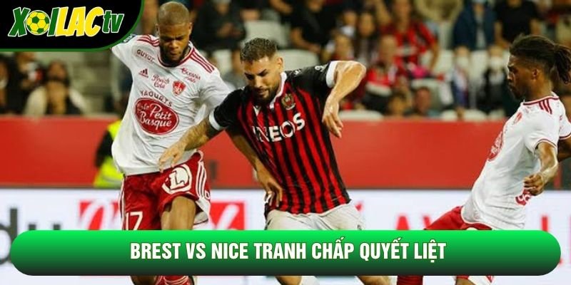 Brest vs Nice tranh chấp quyết liệt Brest vs Nice tranh chấp quyết liệt