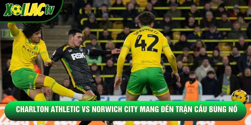 Charlton Athletic vs Norwich City mang đến trận cầu bùng nổ