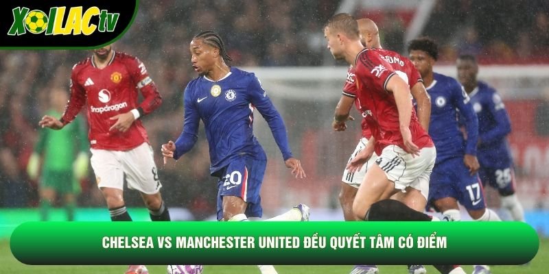 Chelsea vs Manchester United đều quyết tâm có điểm