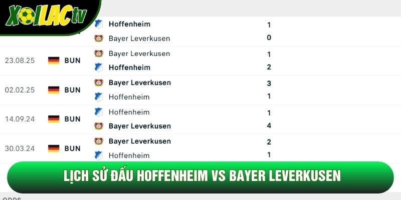 Lịch sử đấu Hoffenheim vs Bayer Leverkusen