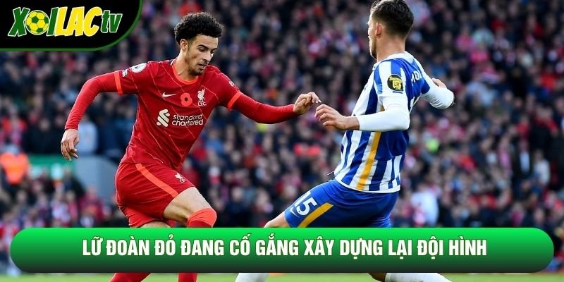 Lữ đoàn đỏ đang cố gắng xây dựng lại đội hình Lữ đoàn đỏ đang cố gắng xây dựng lại đội hình