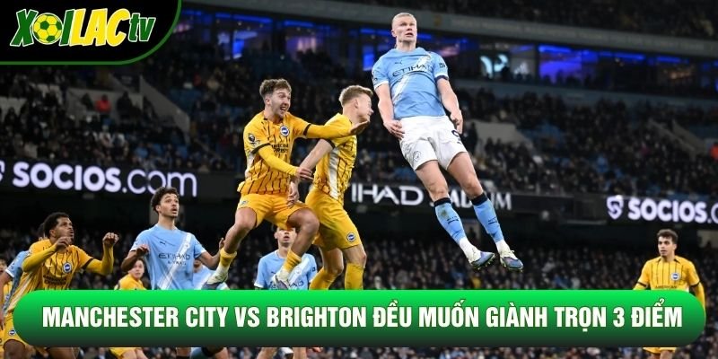 Manchester City vs Brighton đều muốn giành trọn 3 điểm Manchester City vs Brighton đều muốn giành trọn 3 điểm