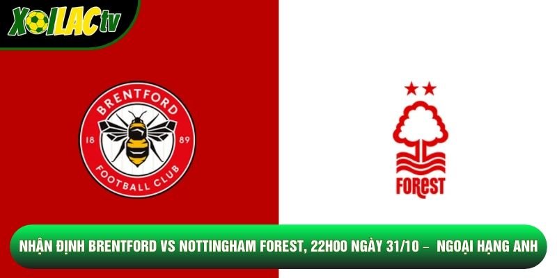 Nhận Định Brentford Vs Nottingham Forest, 22h00 Ngày 31/10 – Giải Ngoại Hạng Anh