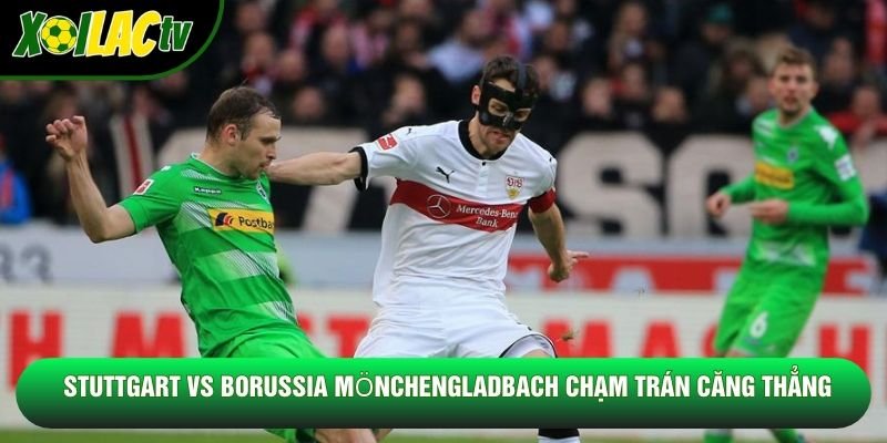 Stuttgart vs Borussia Mönchengladbach chạm trán căng thẳng Stuttgart vs Borussia Mönchengladbach chạm trán căng thẳng