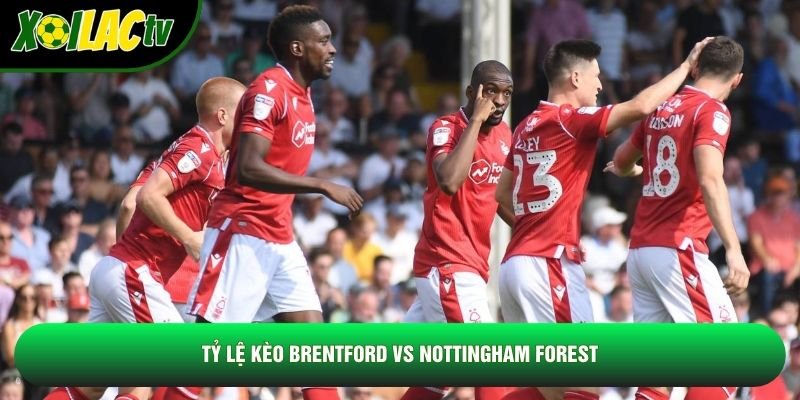 Tỷ lệ kèo Brentford vs Nottingham Forest