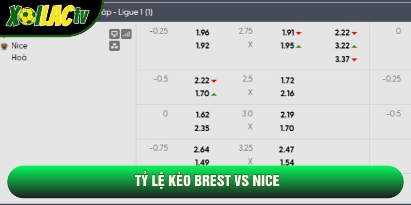 Tỷ lệ kèo Brest vs Nice