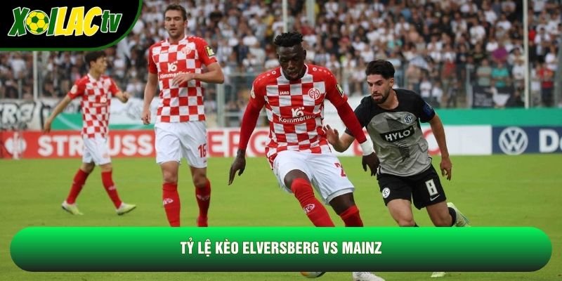 Tỷ lệ kèo Elversberg vs Mainz