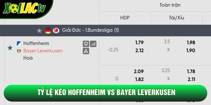 Tỷ lệ kèo Hoffenheim vs Bayer Leverkusen