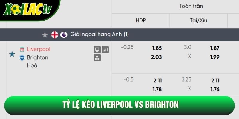Tỷ lệ kèo Liverpool vs Brighton Tỷ lệ kèo Liverpool vs Brighton